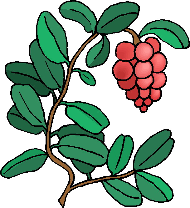 Plants clip art