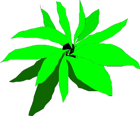 Plants clip art