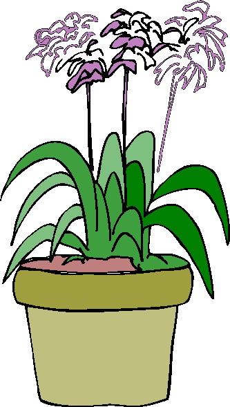 Plants clip art