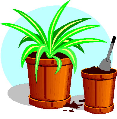 Plants clip art