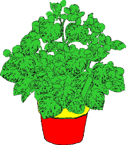 Plants clip art