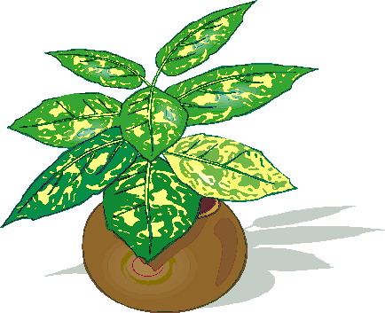 Plants clip art