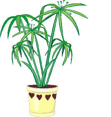 Plants clip art