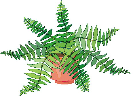 Plants clip art