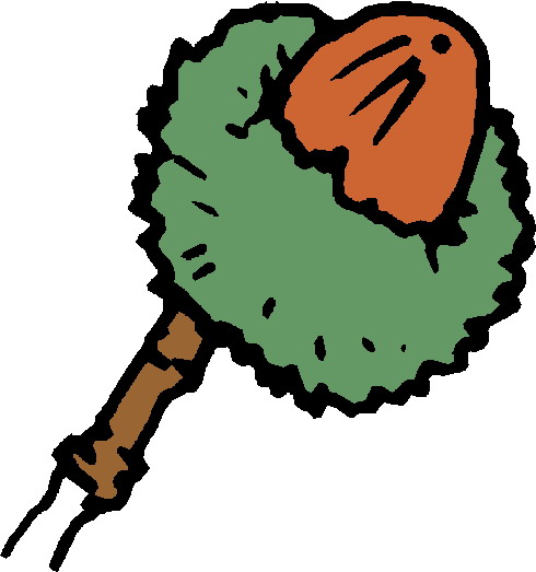 Plants clip art