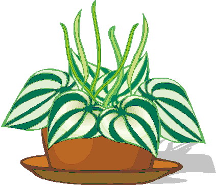 Plants clip art