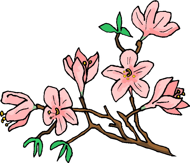 Plants clip art