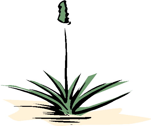 Plants clip art