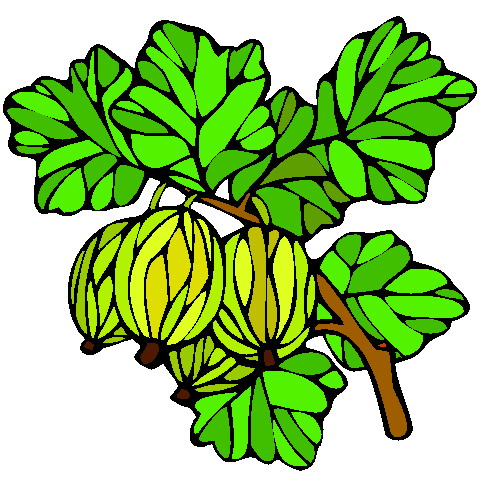 Plants clip art