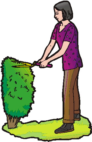 Plants clip art