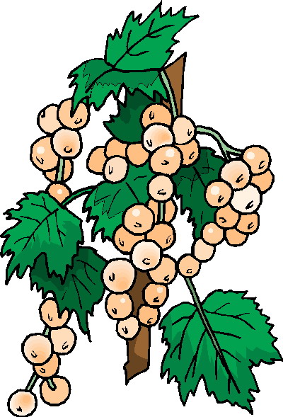 Plants clip art