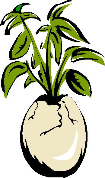 Plants clip art