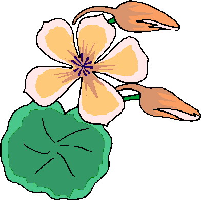 Plants clip art