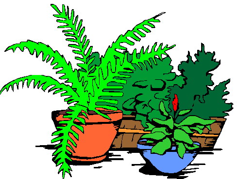 Plants clip art