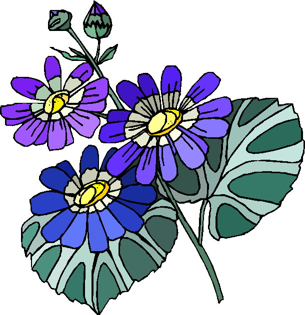 Plants clip art