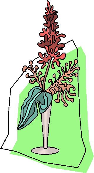 Plants clip art
