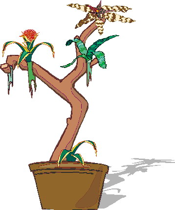 Plants clip art