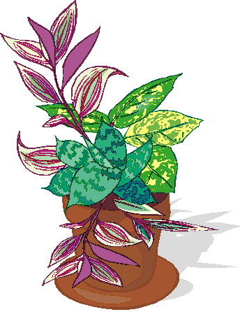 Plants clip art