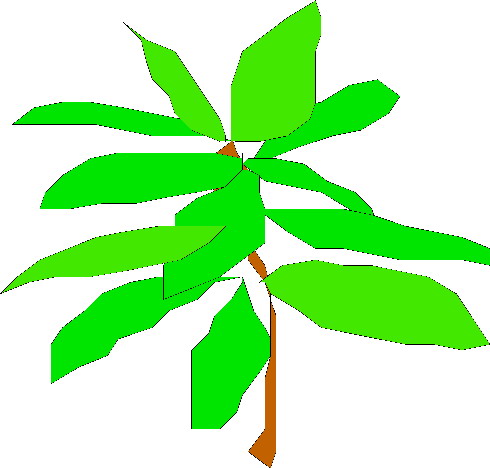 Plants clip art