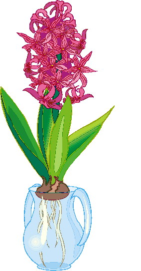 Plants clip art