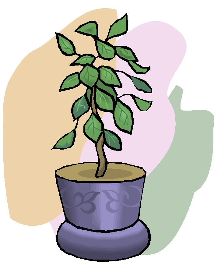 Plants clip art