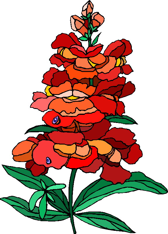 Plants clip art