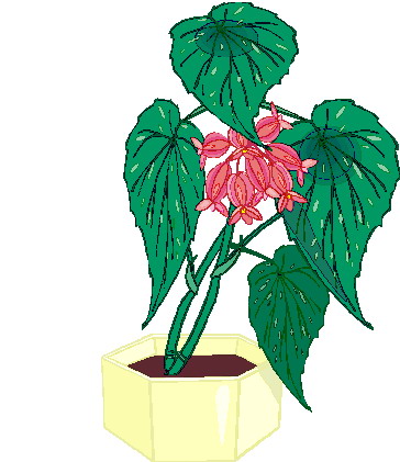 Plants clip art