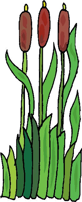 Plants clip art