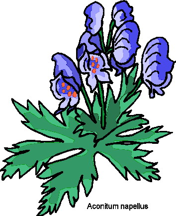 Plants clip art