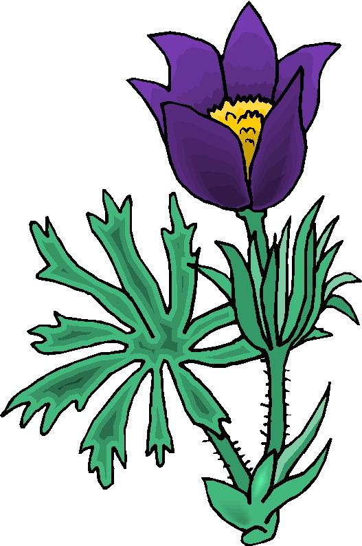 Plants clip art