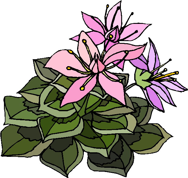 Plants clip art