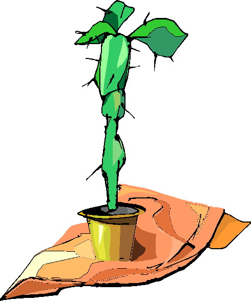 Plants clip art