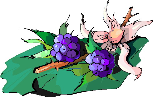 Plants clip art