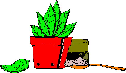 Plants clip art