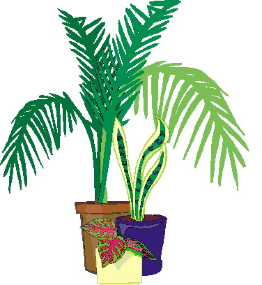 Plants clip art