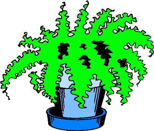 Plants clip art