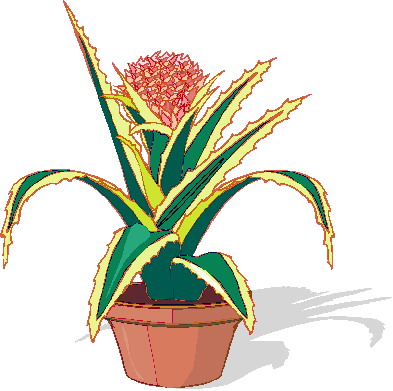 Plants clip art