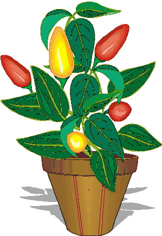 Plants clip art