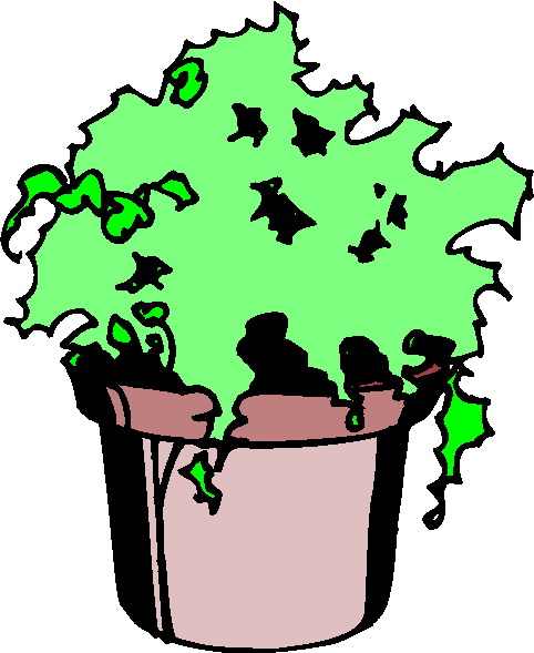 Plants clip art