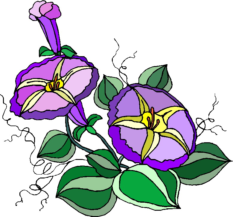 Plants clip art