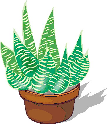 Plants clip art