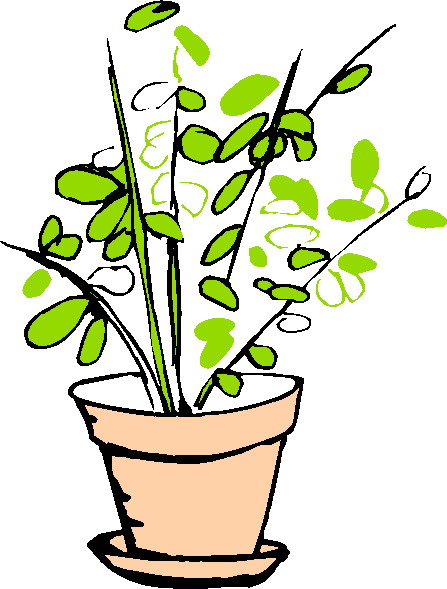 Plants clip art