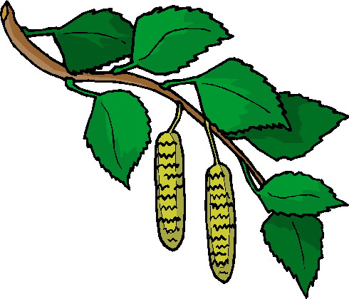 Plants clip art