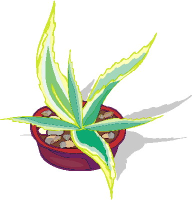 Plants clip art