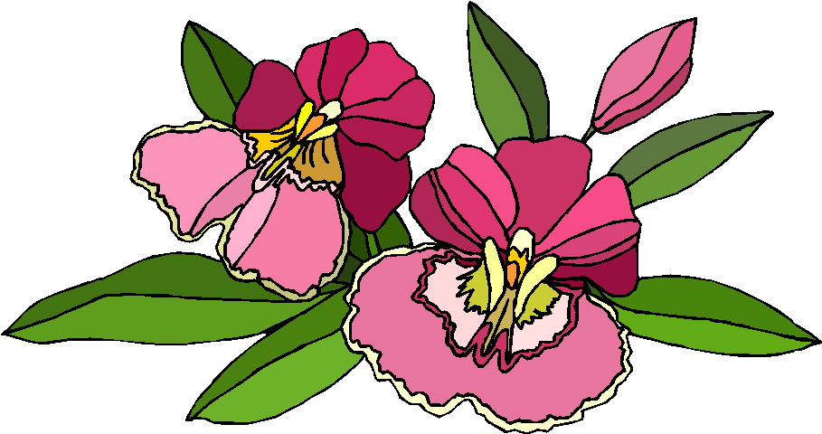 Plants clip art