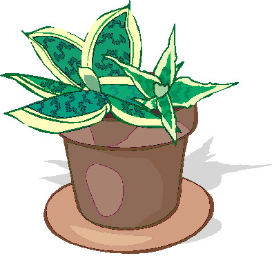 Plants clip art