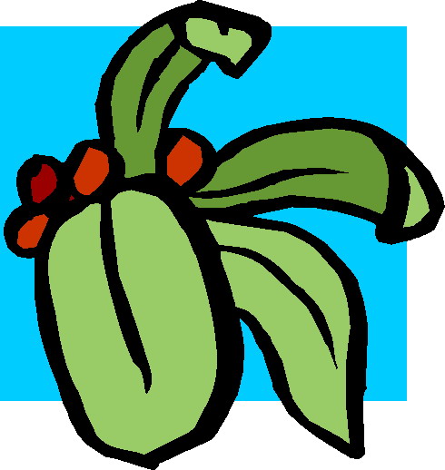 Plants clip art