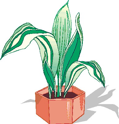 Plants clip art