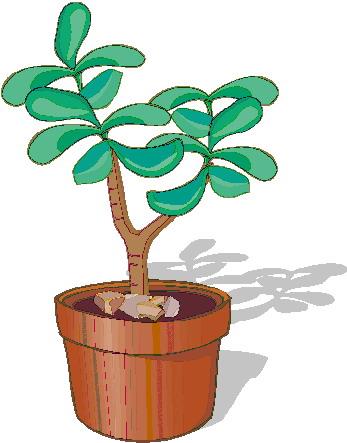 Plants clip art