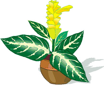 Plants clip art